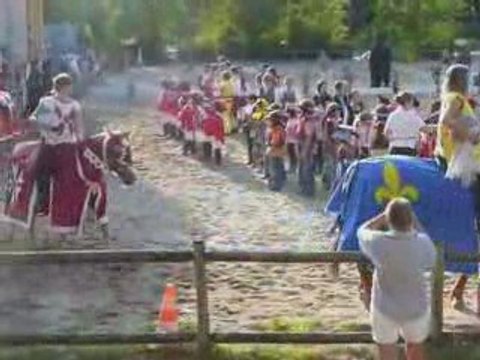 chevaux carrousel chevalier 3 + final