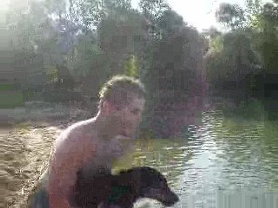 lance de chien