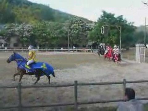 chevaux carrousel chevalier 1