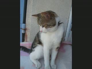 Séance photo Fripouille et moi