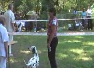 Diva expo de Ventabren 28 juin 2009