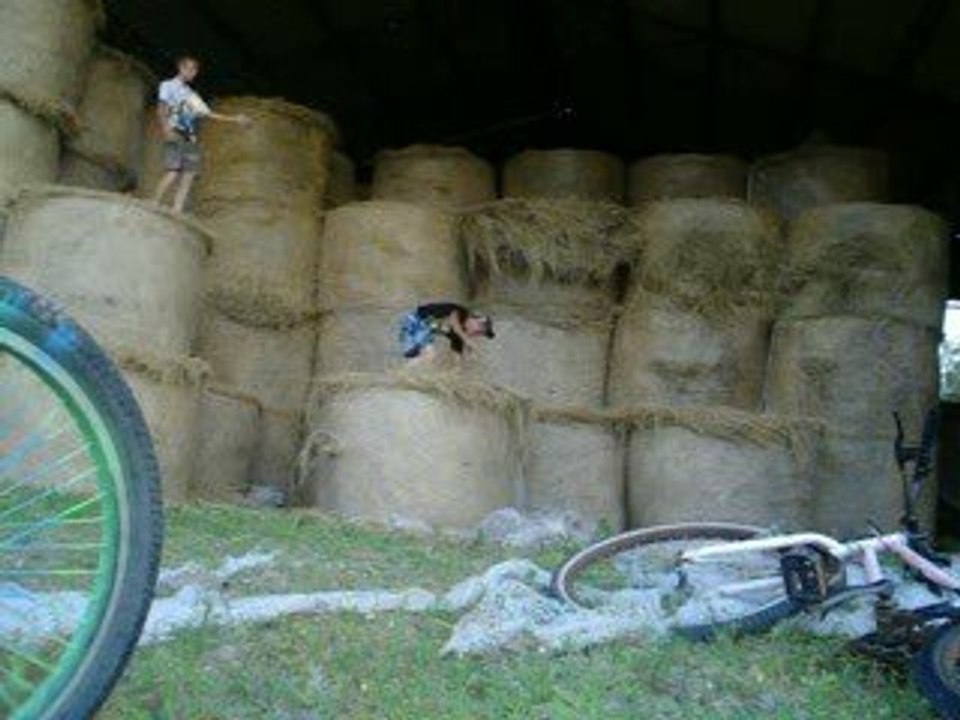 delire delire delire