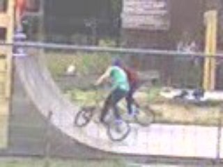 Shampions from Germany..for ever..made in Germany