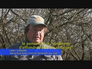 Le Titanic Apicole Terreur Pesticide-part1