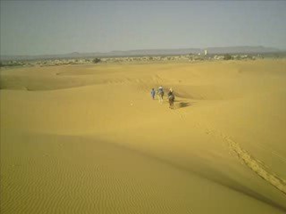 DESERT EXPEDITION AGENCY