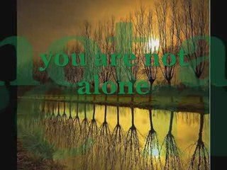 you are not alone( Panflute)