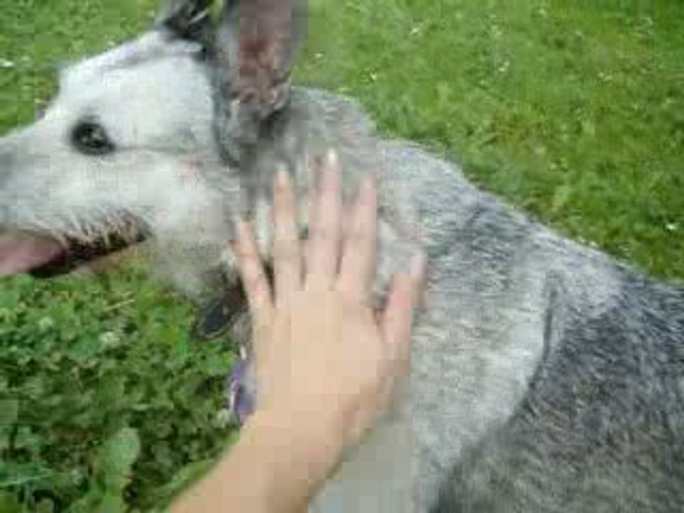 dakota juin 09