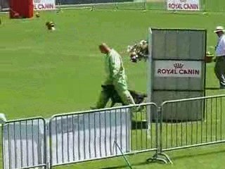 Ulko 2eme finale ring 2009