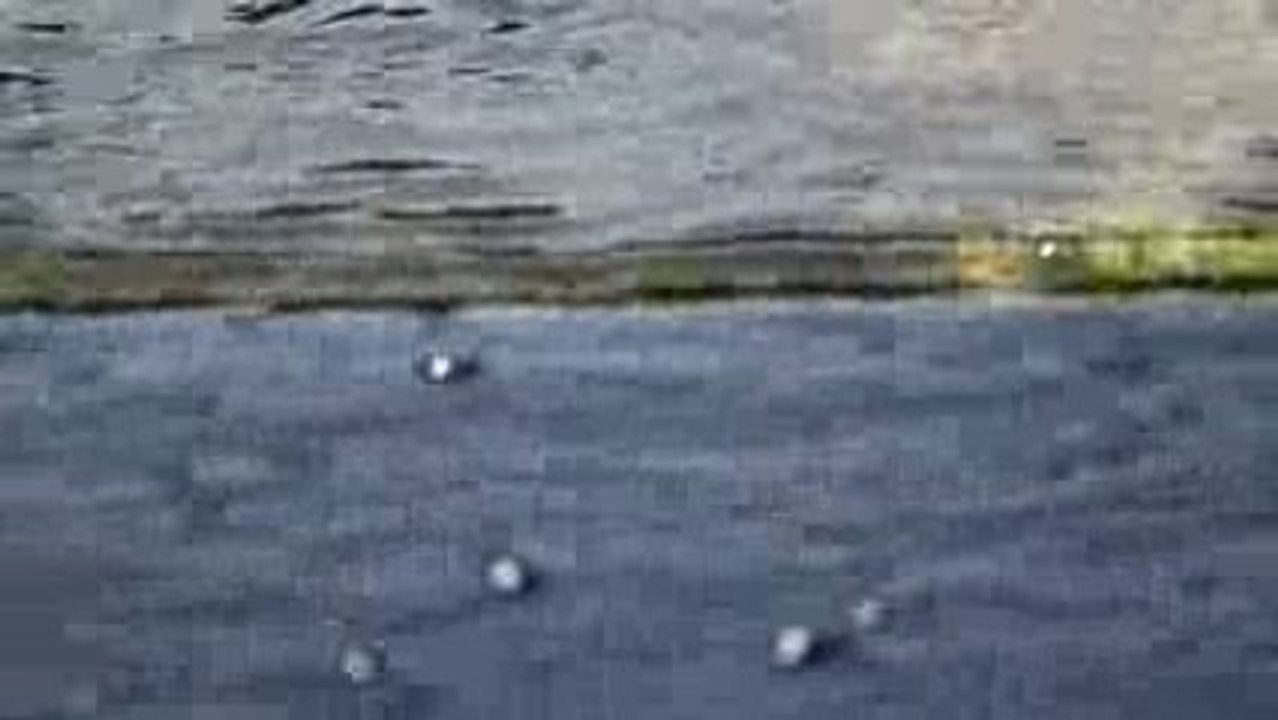 water from  canon  eos 500d