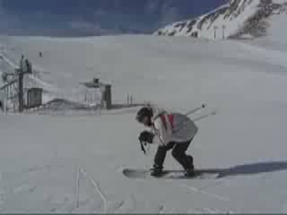 Pêle mêle de ma vie suisse