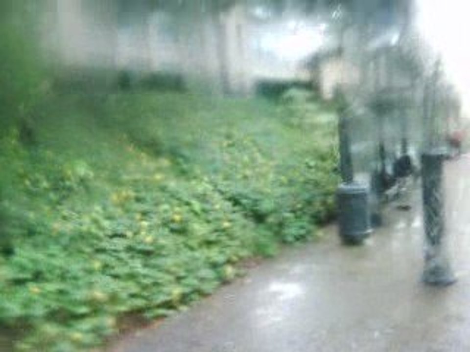 inondation