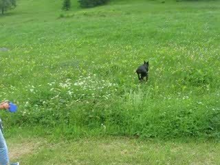 Vixie dans ses oeuvres