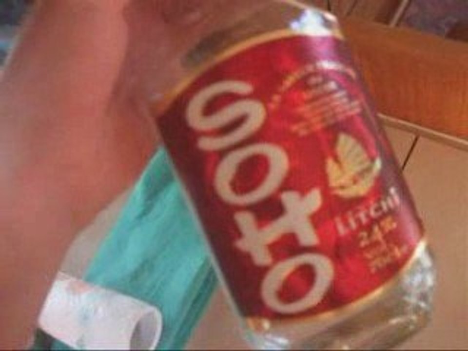vacances 2008