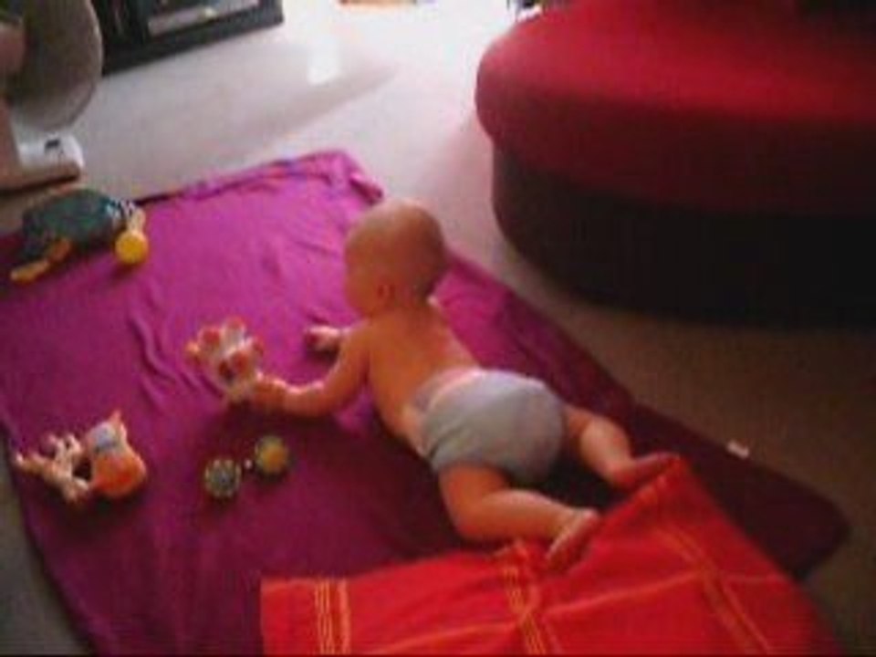 Vidéo mathys et son 4 patte en évolution