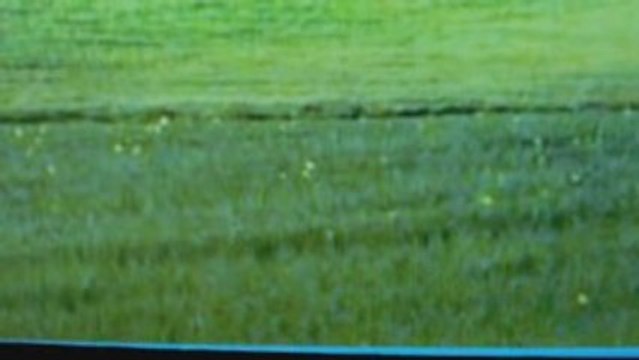 The Unfortunate Smash of Michael and Christy