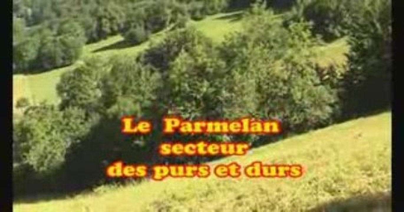 Images et  interviews TFF