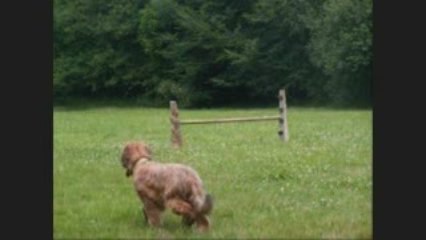 saut en cordelette !