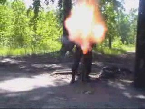 Операция Виипури