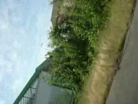 Sorrie unns fin d'année 2008/2009