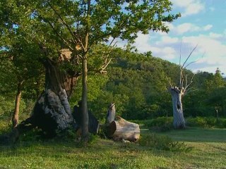 Anuncio Valle de Mena