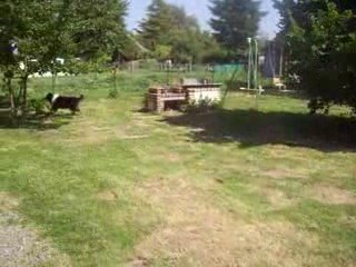 Chance a pris le bain!!