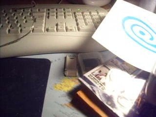 presentation de la psp 1004