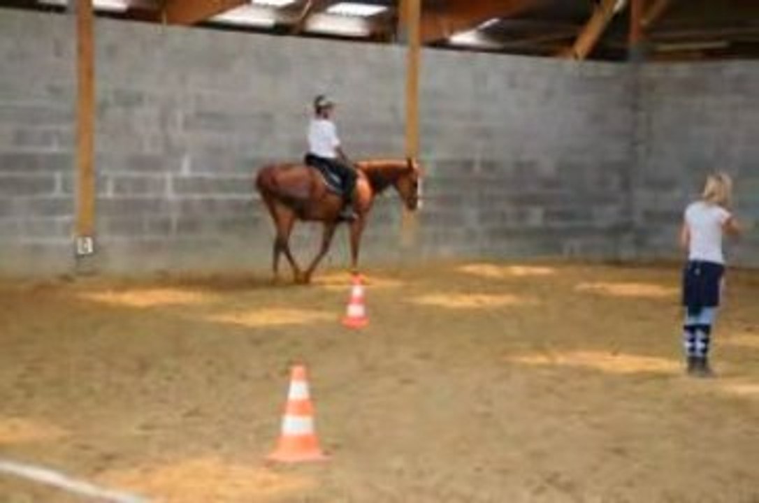 Peppermint- je m'embrouille dans les aides !