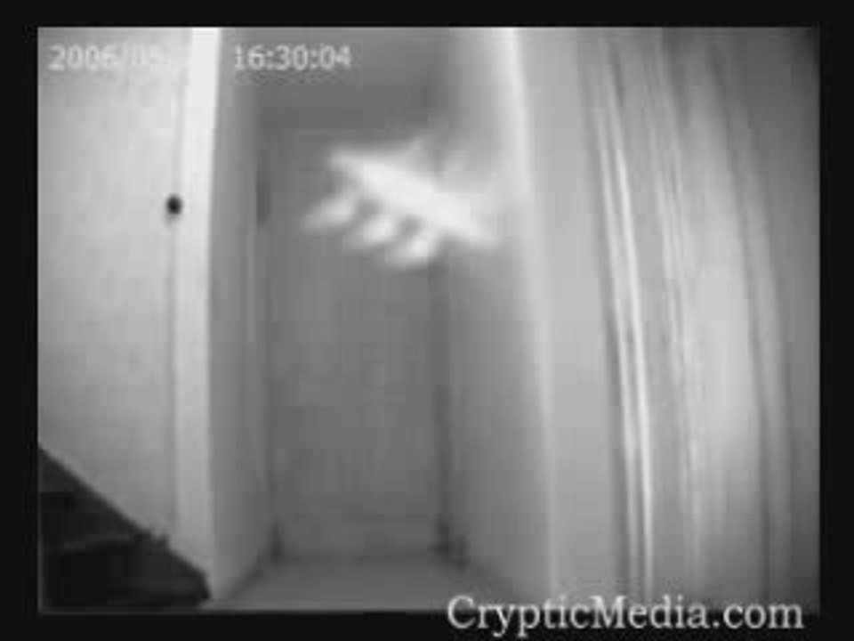 Rod Caught On Infrared Camera