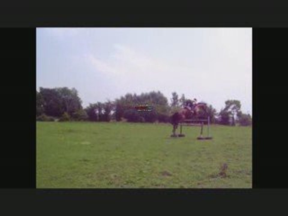Samiro et moi, jusqu' au 1m40 ..