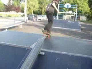 Pierre 2.0 skate Pons