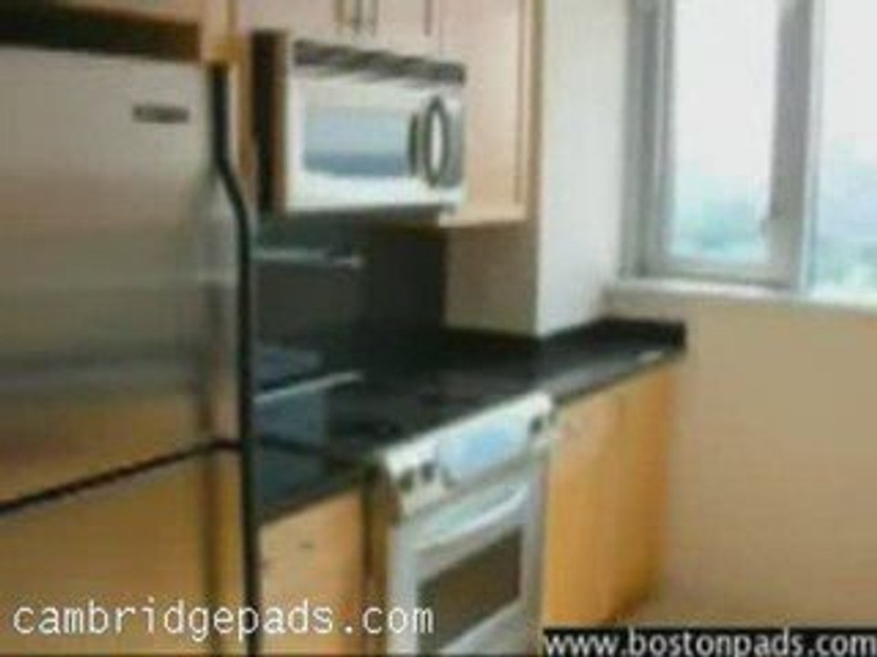 nice apartment in Cambridge MA