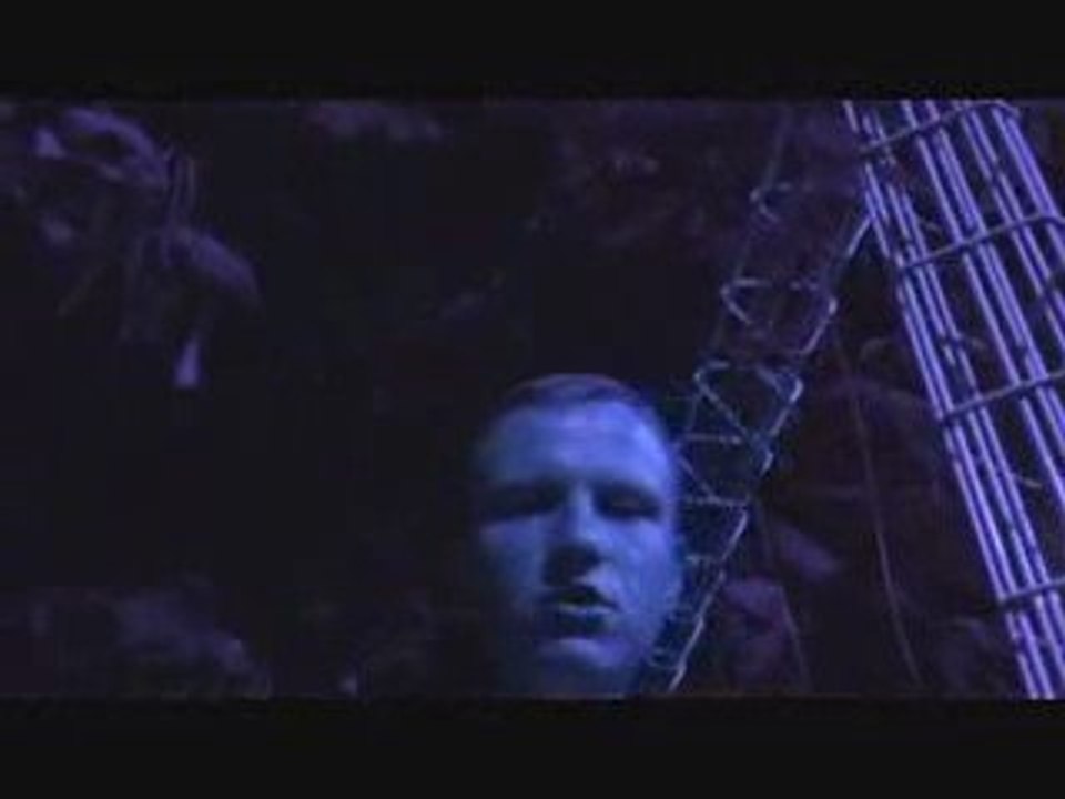 paranoweed YWILL