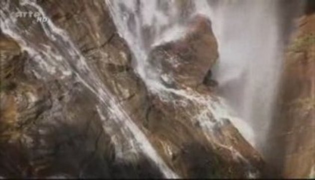 Charles Darwin - le G voyage - la theorie de l'évolution 4_5