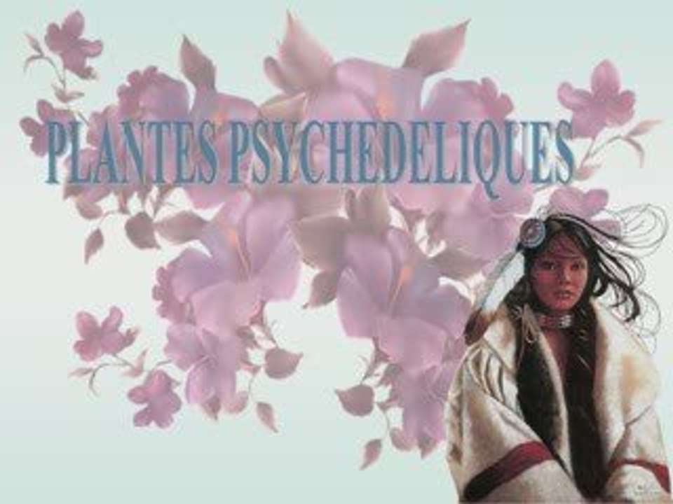 LES PLANTES PSYCHEDELIQUES
