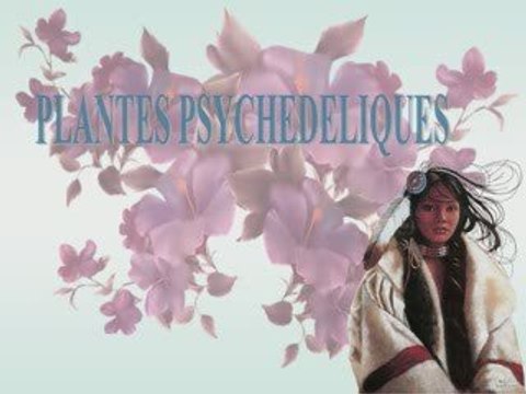 LES PLANTES PSYCHEDELIQUES