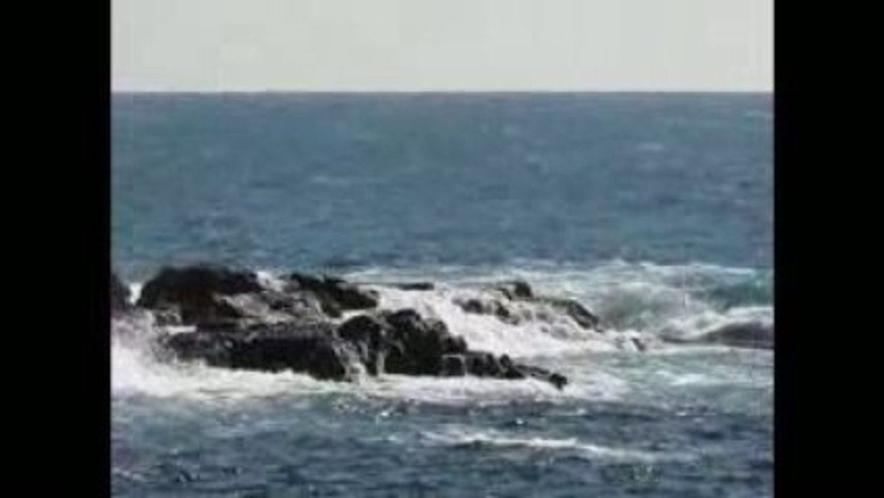 Ile du Petit Gaou (2009-03-07)