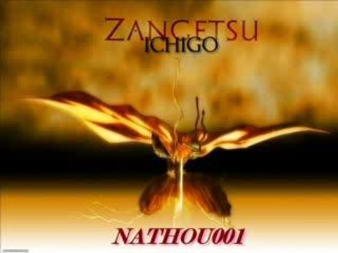 Kurosaki Ichigo vs Kuchuki Byakuya