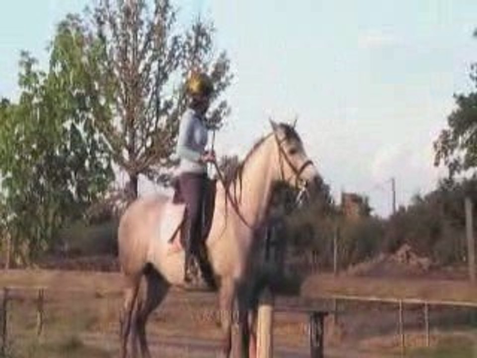 Orane dressage 1er juillet