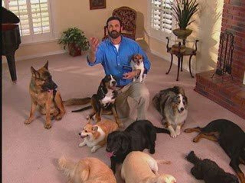 Rest in Peace Billy Mays