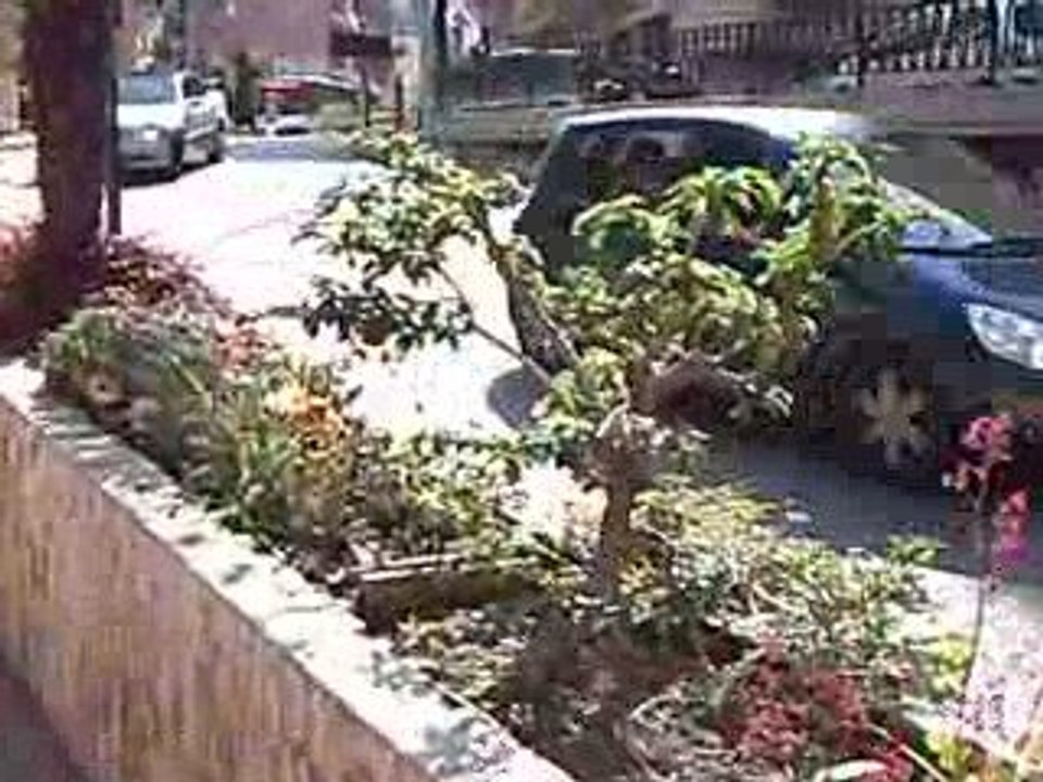 MaxMonacoPrologueBis