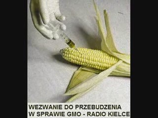 Wezwanie do przebudzenia w sprawie GMO - Radio Kielce