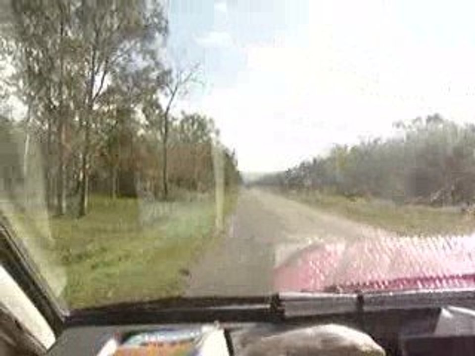 25 06 2009 - Cows over road to Wallaman Falls 1
