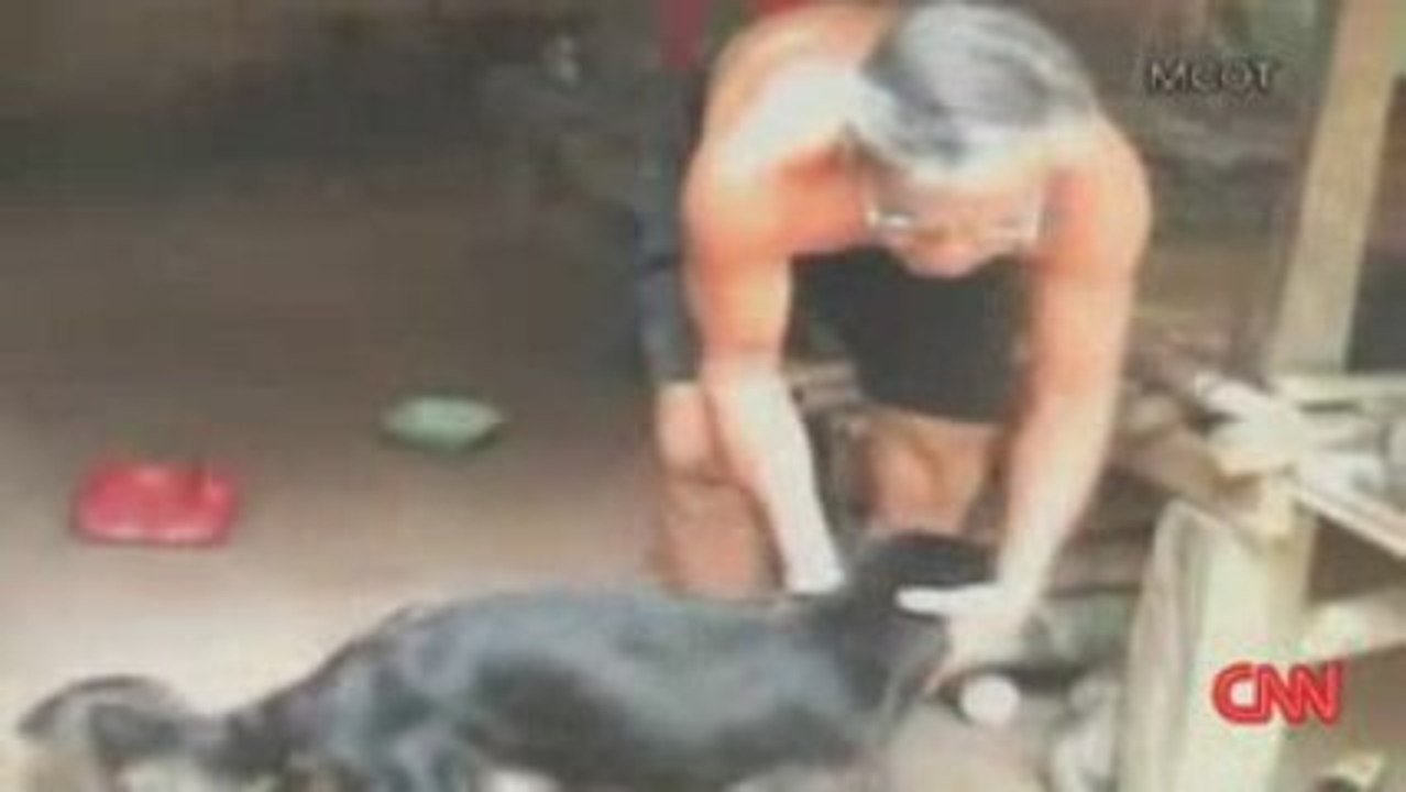 perro y cerdos
