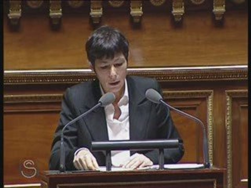 Projet de loi de finances 2009 Intervention de Virginie Klès