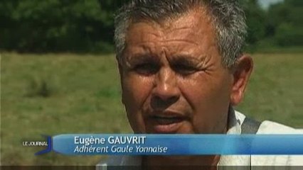 Des poissons noyés par l'asphyxie (La Roche-Sur-Yon)