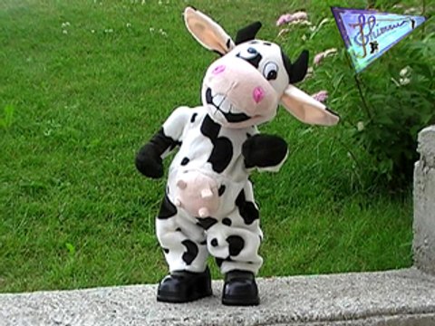 I like to move gags animaux