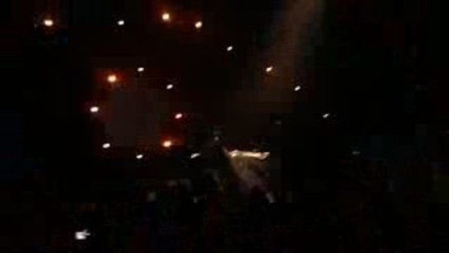 Beardy Man aux Solidays 2009