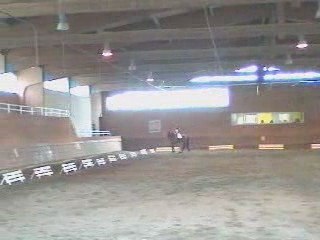 Player et moi, dressage vedene