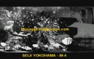 SOUNDTRACKS - SEIJI YOKOHAMA VIDEO 11 IN PERU