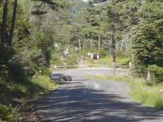 2eme course de cote de caille